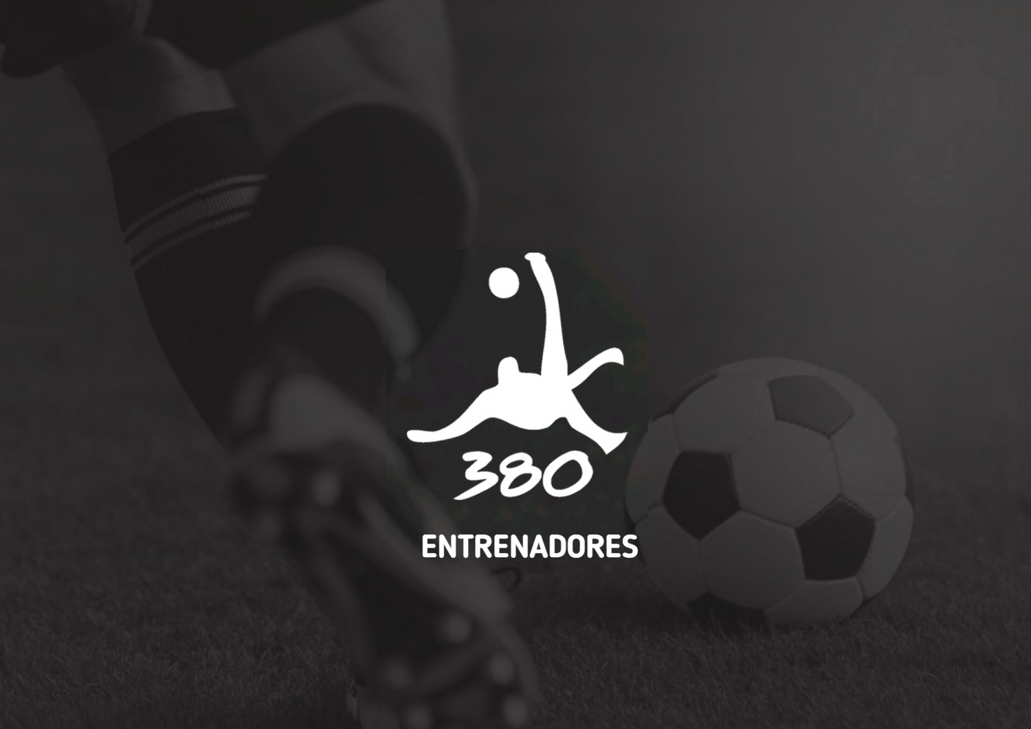 ENTRENADORES - 380 ACADEMY